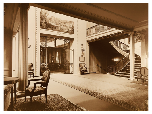 How Rugs and Carpets Elevate Top Interior Designs