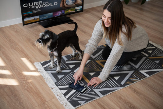 Best Place to Buy Black Rugs and Carpet for Interior Designers in India
