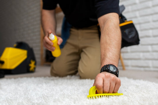 DIY: How to Clean and Maintain Your Grey Living Room Rug