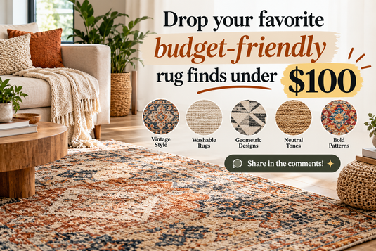 Budget-Friendly Rug Finds Under $100: What We'd Actually Look For