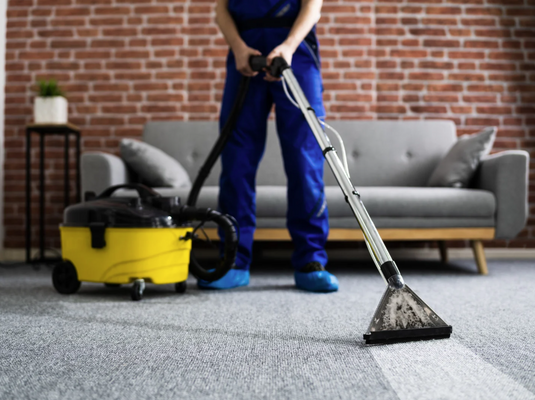 Best Vacuum Cleaners for Carpets and Rugs in 2025