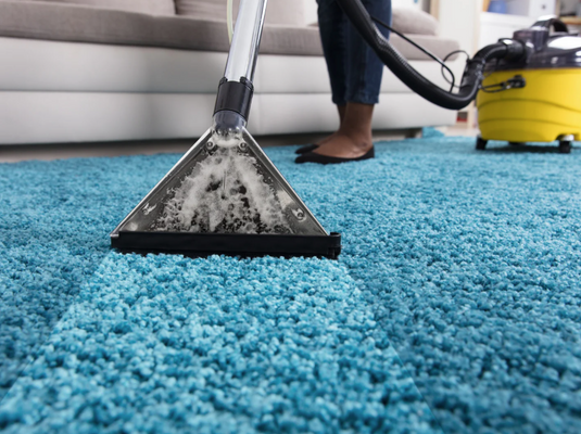 Top 7 Vacuum Cleaners for Pet Hair on Rugs and Carpets (2025)