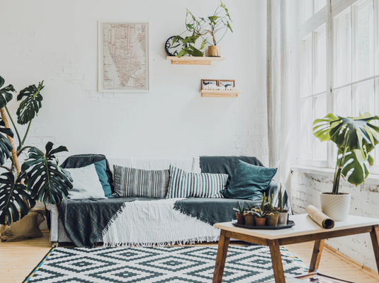 What are some ethical and sustainable carpet brands in Ahmedabad?