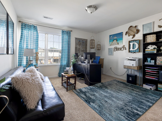 Best Place to Buy Winter Rugs and Carpets in Bengaluru