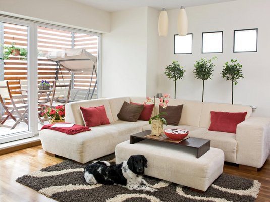 Best Place to Buy Winter Rugs and Carpets in Manali – Cozy Up Your Mountain Home with The Ambiente