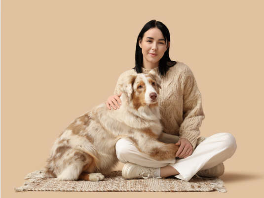 Where Can I Find Budget-Friendly Rugs and Carpets in Mumbai?