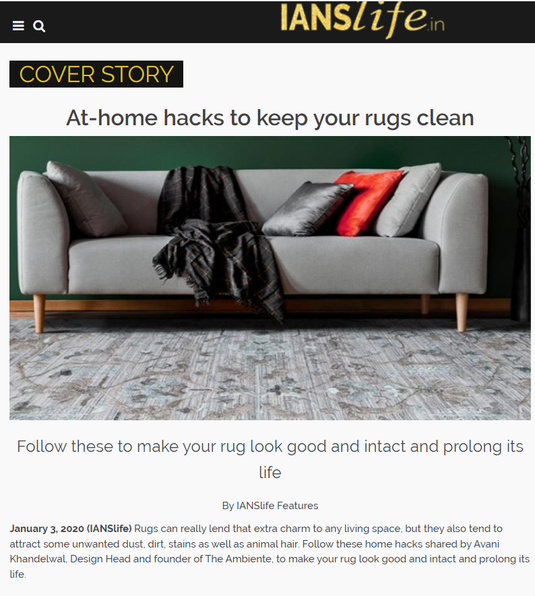 At-home hacks to keep your rugs clean-ianslife feature
