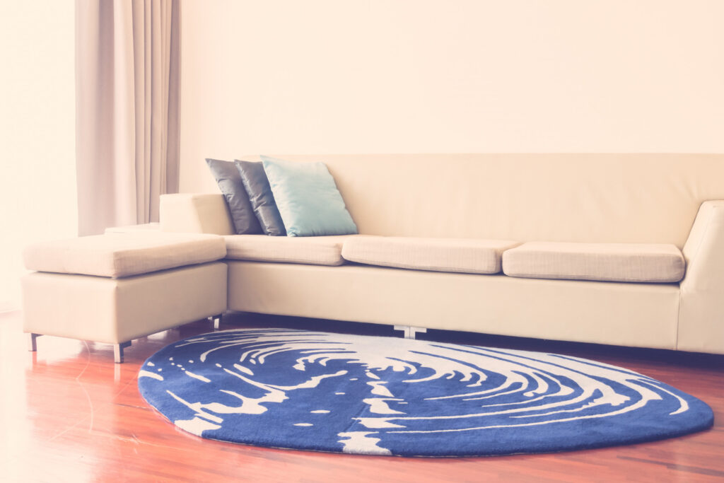 Blue and White Rug