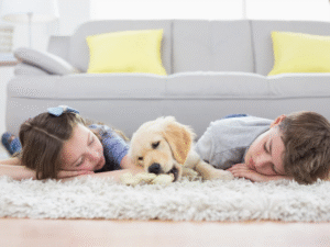 Read more about the article Where Can I Find the Best Kids Room Rugs and Carpet in Delhi, India?