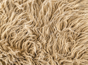 Read more about the article Are your rugs made of pure wool or blended material?