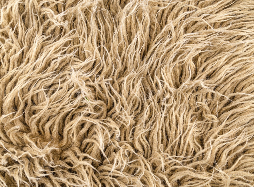 You are currently viewing Are your rugs made of pure wool or blended material?