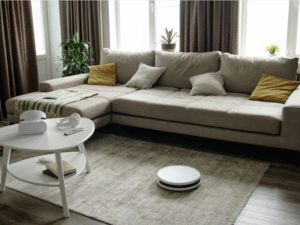 Read more about the article Best Place to Buy Winter Rugs and Carpets in Patna