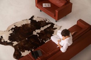 Read more about the article Best Place to Buy Interior Designer Rugs and Carpet in Sikkim